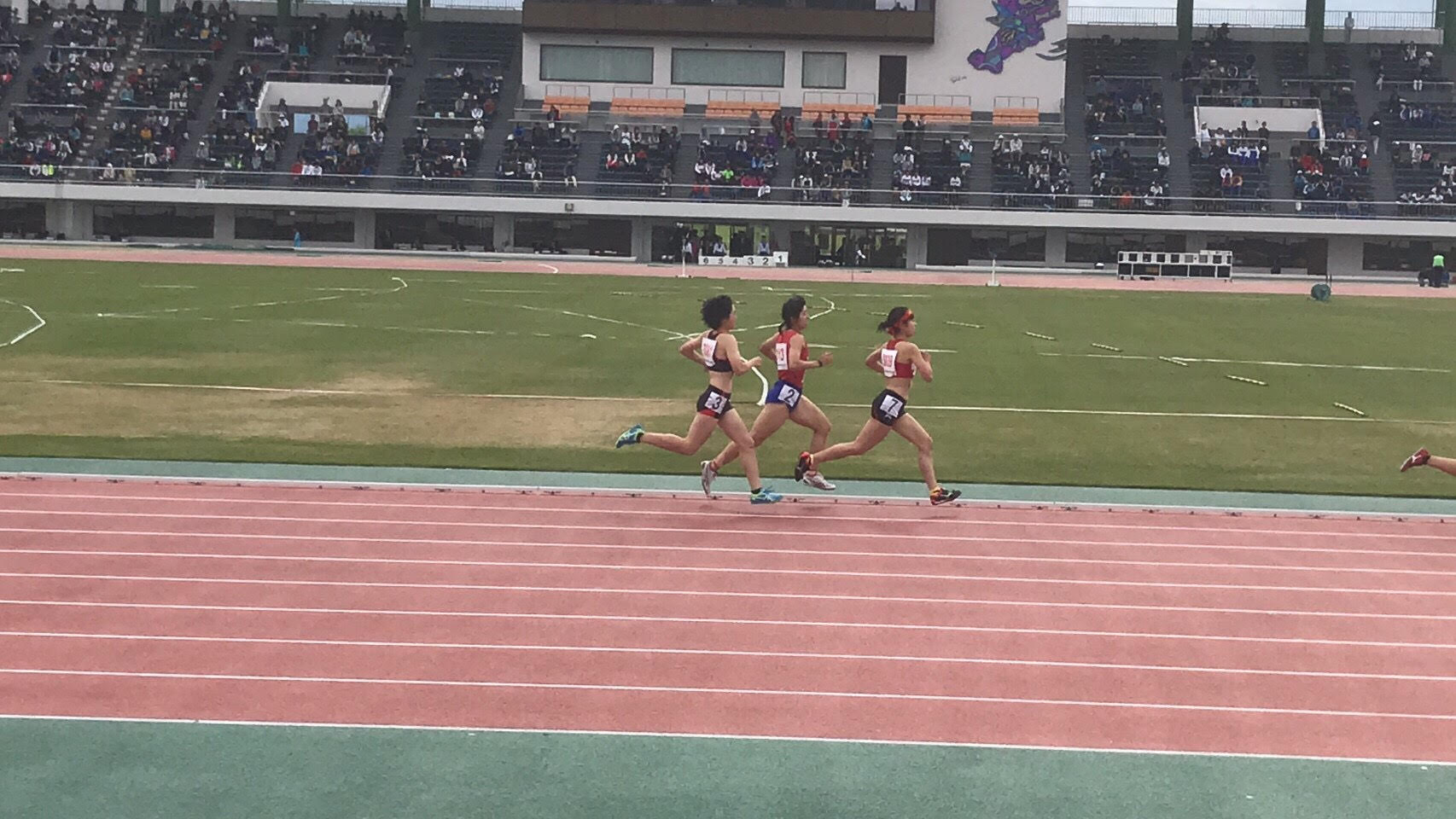 3年橘 澪800ｍ準決勝（左）